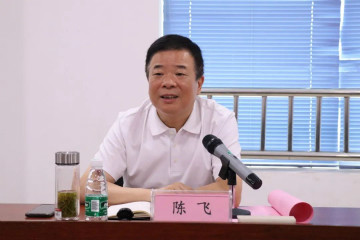 副省长陈飞调研Z6人生就是博航空产业