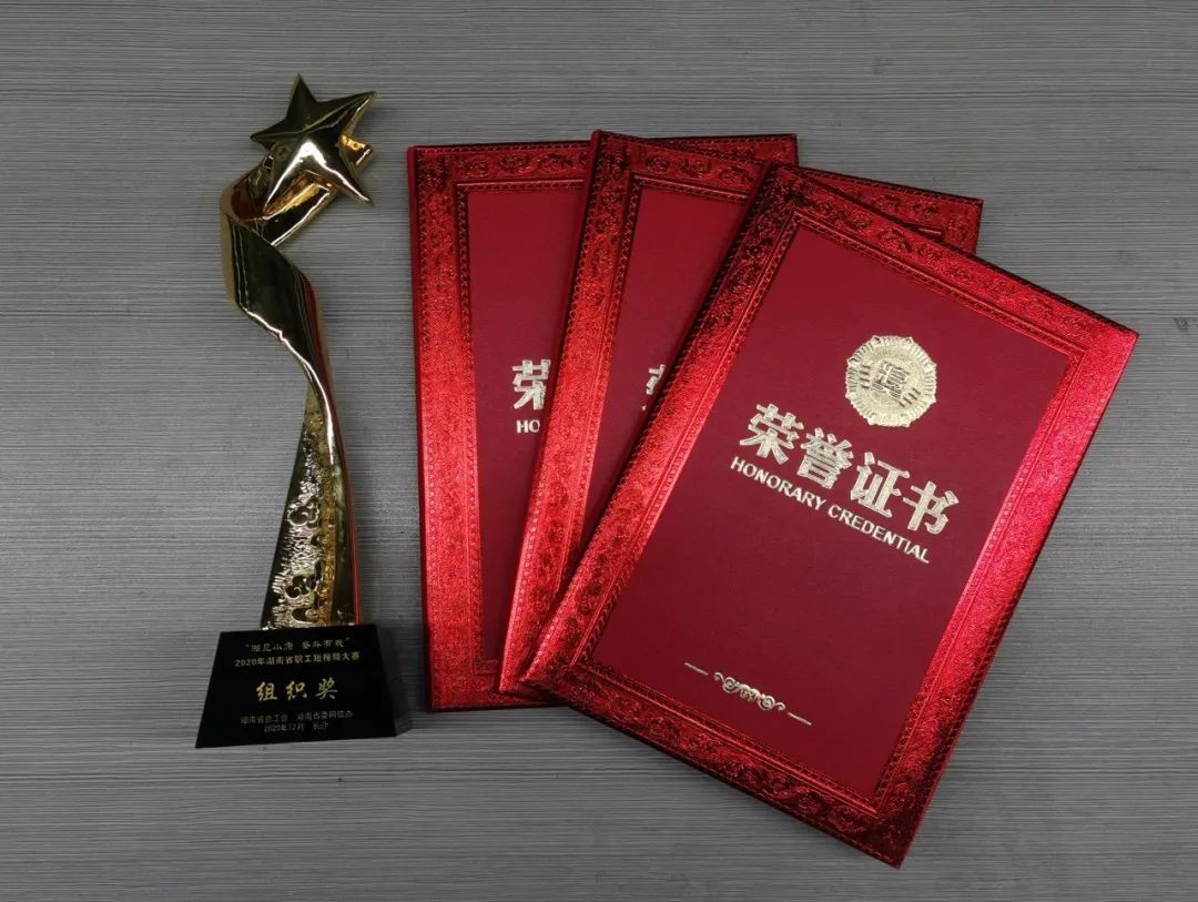湖南省职工短视频大赛Z6人生就是博智能荣获多项嘉奖