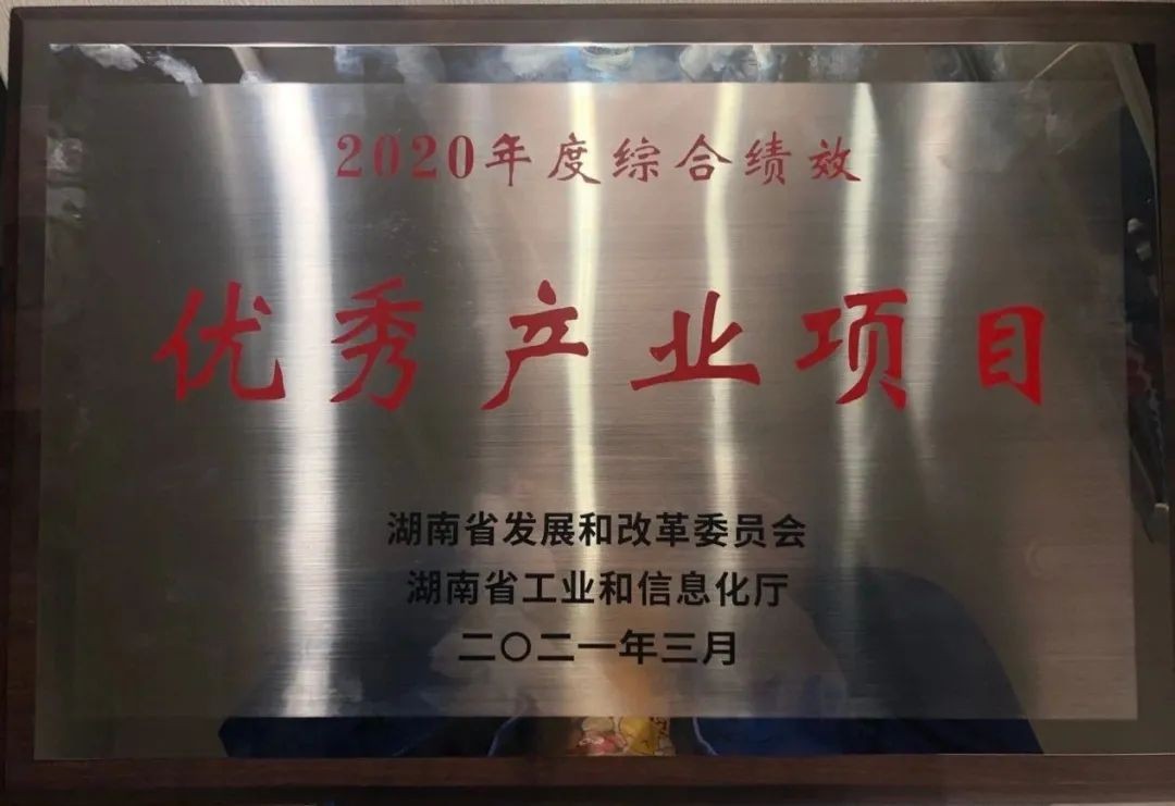 Z6人生就是博智能获评湖南“2020年度综合绩效优良产业项目”