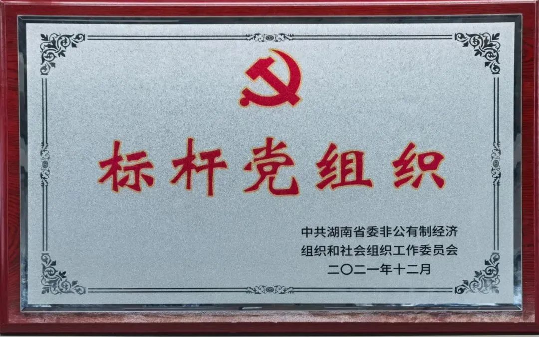 党建品牌亮起来！Z6人生就是博智能党委获评“标杆党组织”