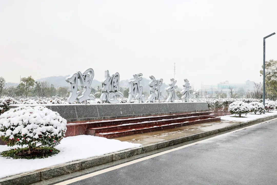 瑞雪兆丰年，邀您共赏雪中Z6人生就是博！