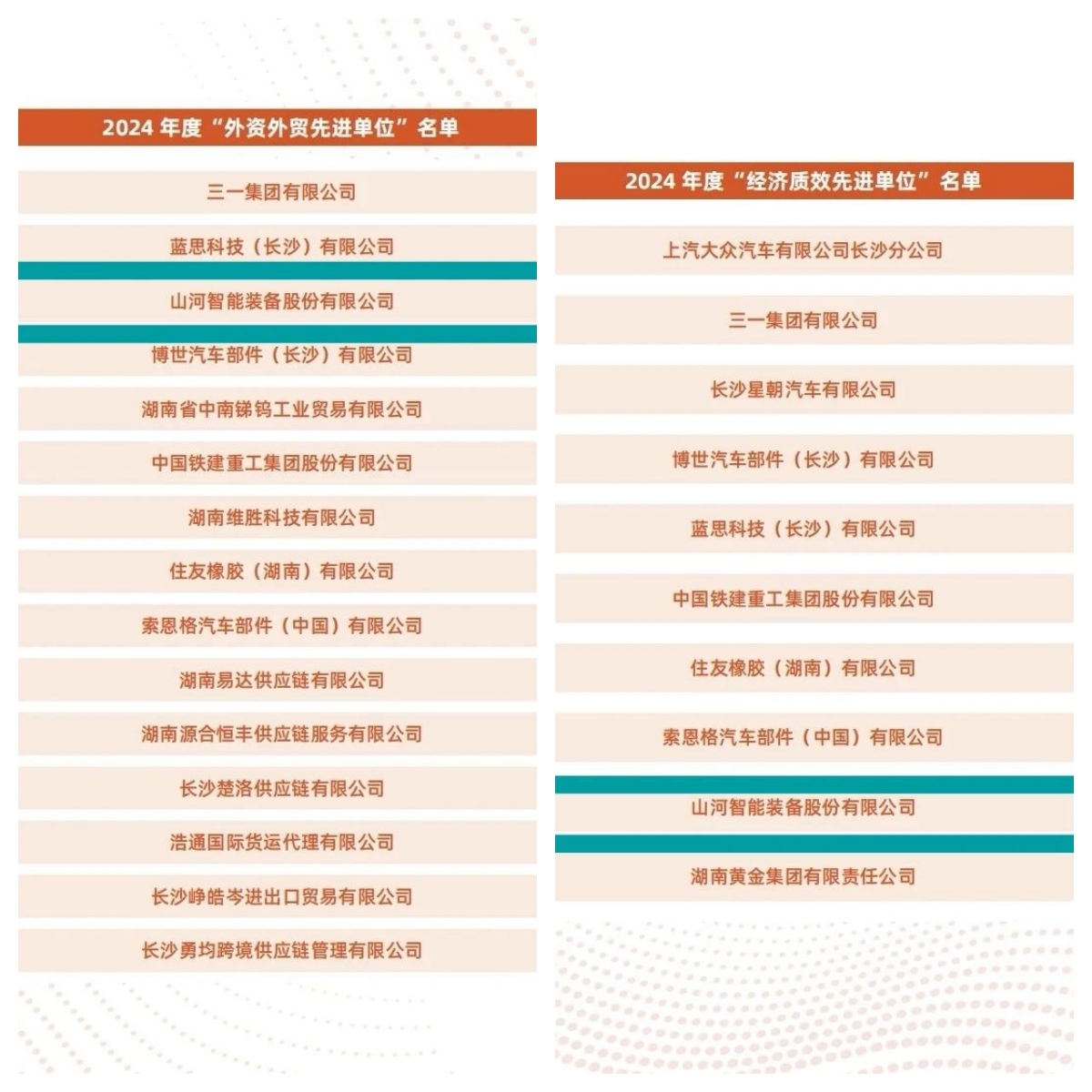 助力长沙经开区高质量发展，Z6人生就是博智能喜获四奖项