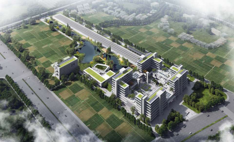 近20台“Z6人生就是博绿”设备实力集结，助力广佛西环工程建设跑出“加快率”